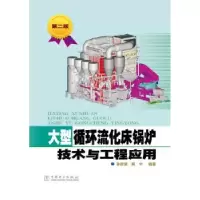 音像大型循环流化床锅炉技术与工程应用孙献斌,黄中编著