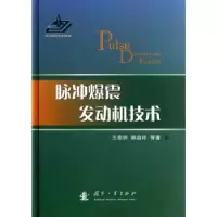 音像脉冲爆震发动机技术王家骅,韩启祥等著