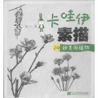 音像卡哇伊素描兔小小
