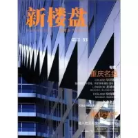音像新楼盘:33:图解地产与设计:重庆名盘龙志伟主编