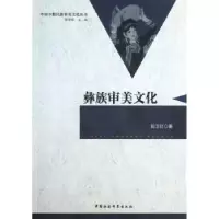 音像彝族审美文化彭卫红著