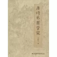 音像唐诗乐器管窥齐柏平 著