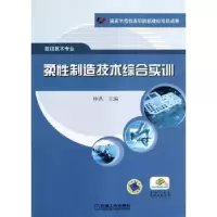 音像柔制造技术综合实训林洪主编