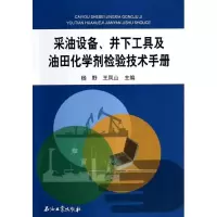 音像采油设备.井下工具及油田化学剂检验技术手册杨野//王凤山