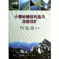 音像小秦岭幔枝构造与深部找矿孙卫志等著