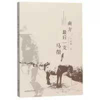 音像南方支马帮王剑冰