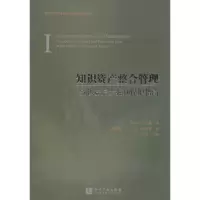 音像知识资产整合管理斯蒂芬·曼顿