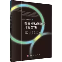 音像奇异摄动问题的计算方法吴雄华 等