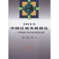 音像2013中国区域发展报告刘卫东