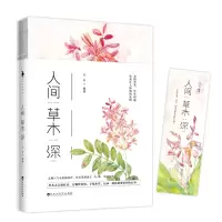 音像人间草木深人五