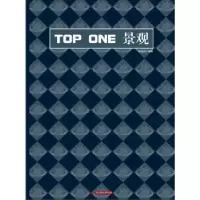 音像TOP ONE景观孙旭阳,刘坤编著