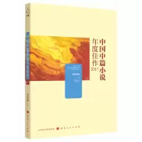 音像中国中篇小说年度佳作2017贺绍俊