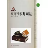 音像家庭维权与司法谭芳,施莉珏著