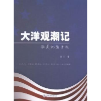 音像大洋观潮记:驻美记者手札麦子著