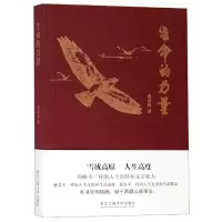音像生命的力量费必胜