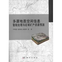 音像多源地质空间信息智能处理与区域矿产资源预测何彬彬