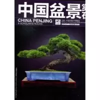 音像中国盆景赏石:2012-11中国盆景艺术家协会主编