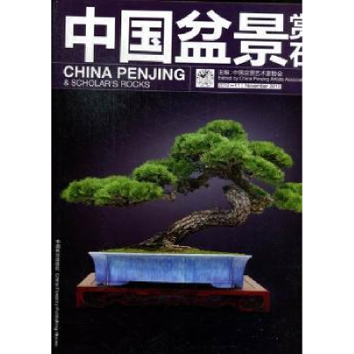 音像中国盆景赏石:2012-11中国盆景艺术家协会主编