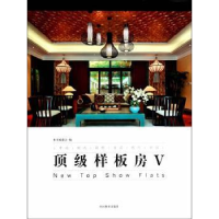 音像样板房:Ⅴ本书编委会编