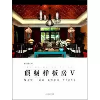 音像样板房:Ⅴ本书编委会编