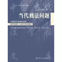音像当代刑法问题赵秉志著
