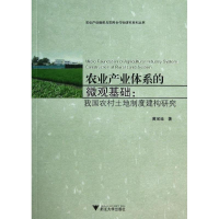 音像农业产业体系的微观基础黄宝连