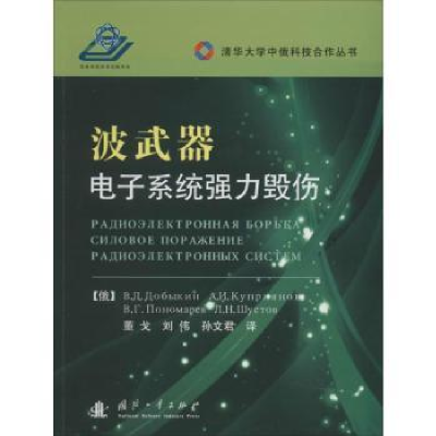 音像波武器:系统强力毁伤(俄)В. Д. Добыкин[等著]
