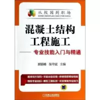 音像混凝土结构工程施工:专业技能入门与精通郭丽峰,张守斌主编