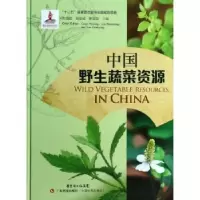 音像中国野生蔬菜资源关佩聪,刘厚诚,罗冠英主编