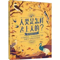 音像和鸟类学飞行美丽科学