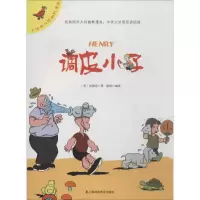 音像调皮小子安德森