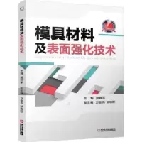 音像模具材料及表面强化技术晁拥军主编