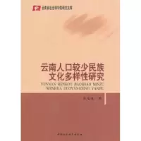 音像云南人口较少民族文化多样研究黄光成著