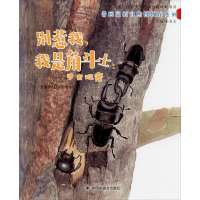 音像别惹我,我是角斗士:甲虫观察金杏宝