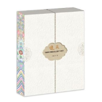 音像追风:“BMW中国文化之旅”六年行罗微 主编