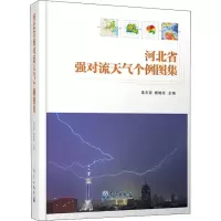 音像河北省强对流天气个例图集作者
