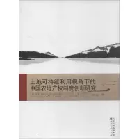 音像土地可持续利用视角下的中农地权制度创新研究苑莉