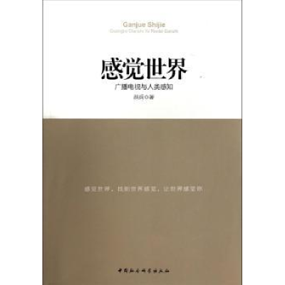 音像感觉世界:广播电视与人类感知洪兵著