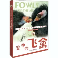 音像空中的飞禽(美)威廉·朗
