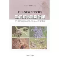 音像新物种青檀绵叶蚜安广池,周成刚