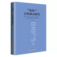 音像金砖+合作模式研究李锋
