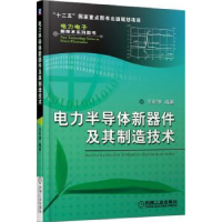 音像电力半导体新器件及其制造技术王彩琳 编著