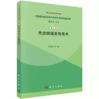 音像燃煤发电技术黄其励等著