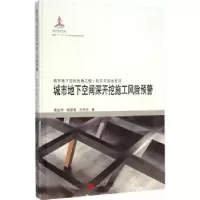 音像城市地下空间深开挖施工风险预警黄宏伟,顾雷雨,王怀忠著
