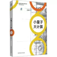 音像小量子大计算居琛勇