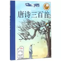 音像唐诗三百首(彩绘注音版)/新阅读小学阅读精品书系编者:朱洁