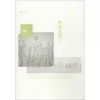 音像外面起风了戴来
