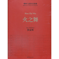 音像火之舞(唢呐与乐队狂想曲)罗麦朔