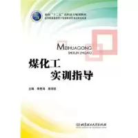 音像煤化工实训指导李星海,庞丽纹主编