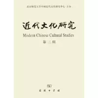 音像近代文化研究:第三辑郑师渠主编
